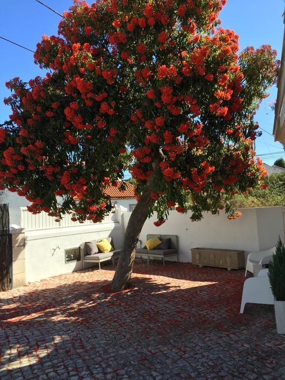 Cosy Sintra Hotel Luaran gambar